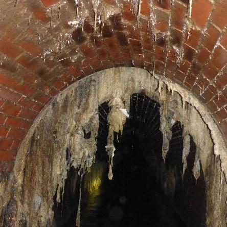 Der Wiesenwammler von innen