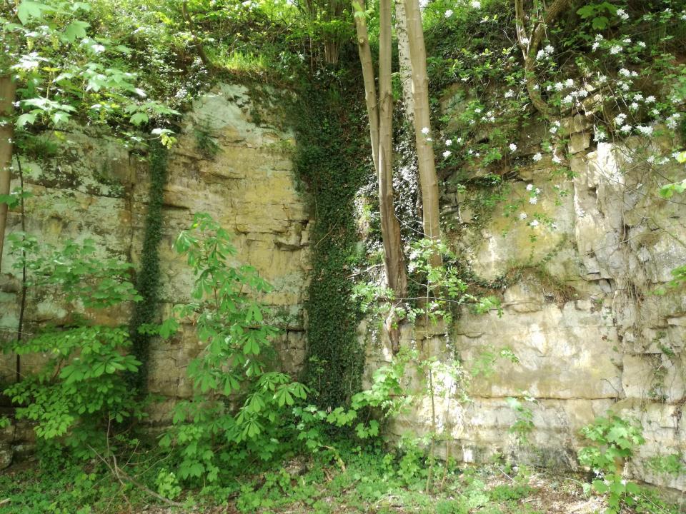 Felswand im Bereich der Startbaugrube